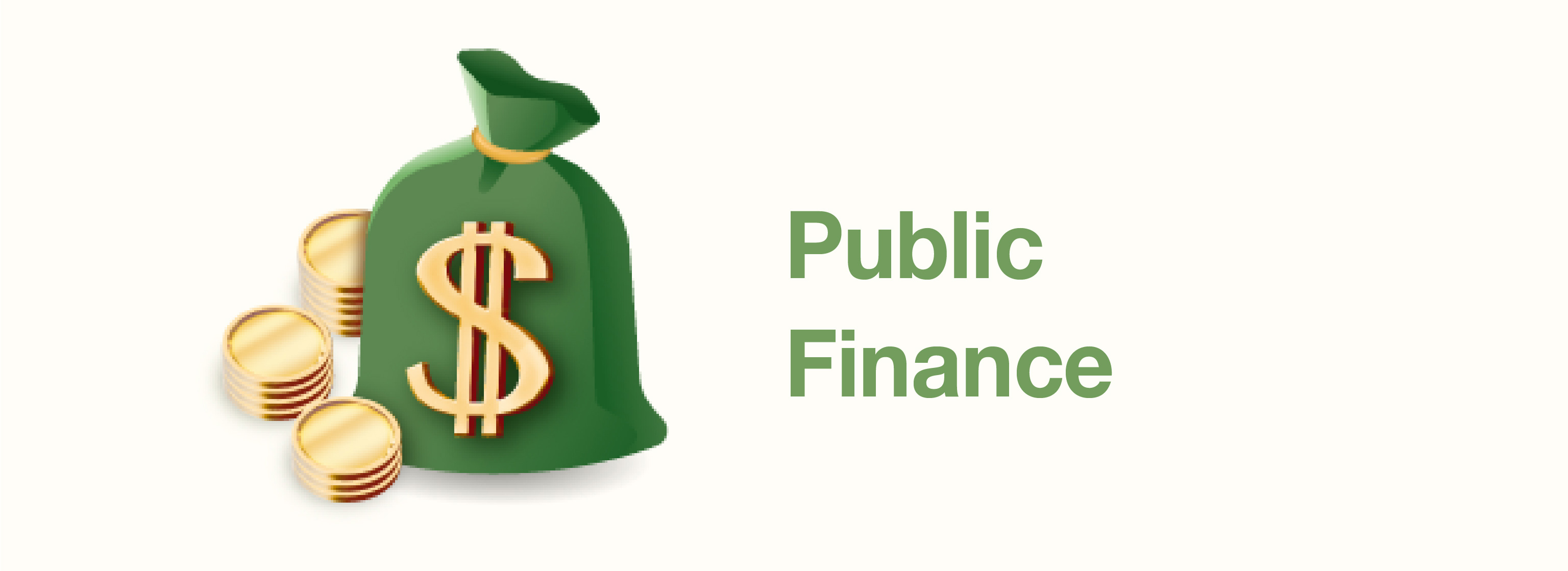 Public Finance